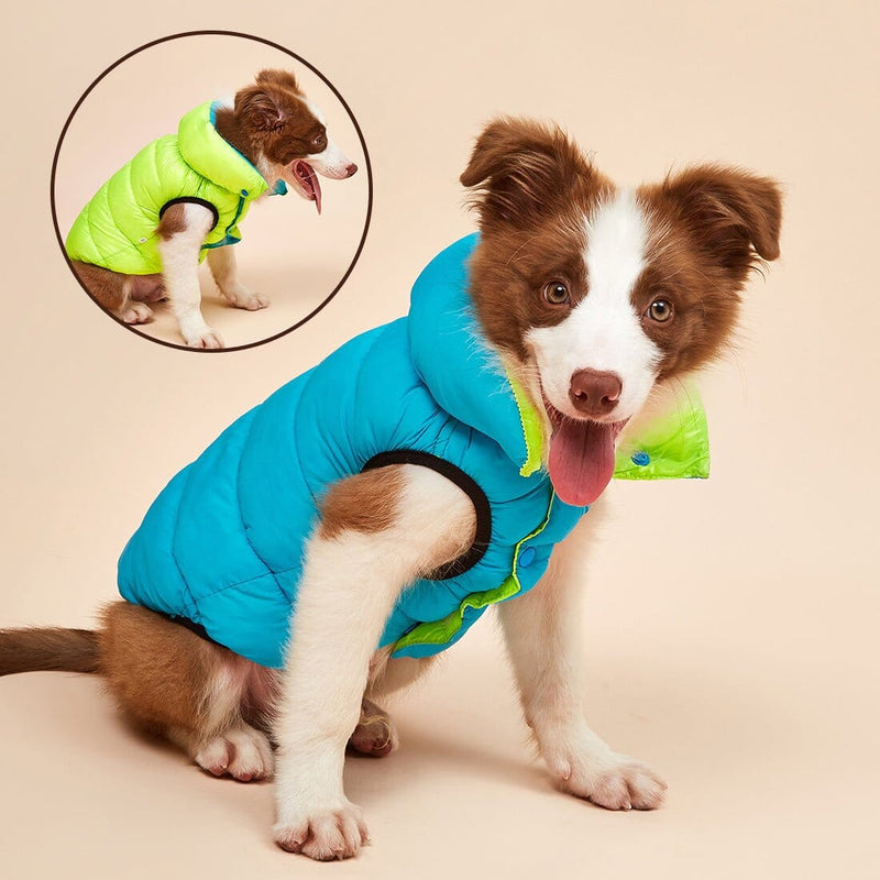 Colete Pet Alby™ Dupla-Face 3 Camadas | Roupa Para Cachorro ROUPA_2 Loja 