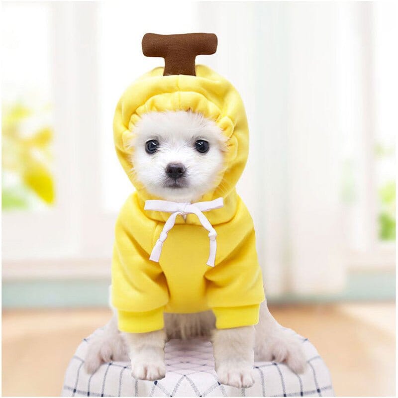 Moletom Pet Cuttie™ | Roupa Para Cachorro ROUPA_INV_4 Loja Bananinha Cuttie PP 