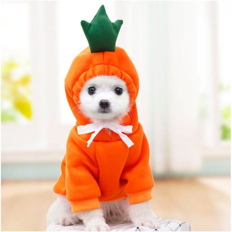 Moletom Pet Cuttie™ | Roupa Para Cachorro ROUPA_INV_4 Loja Cenourinha Carrot PP 