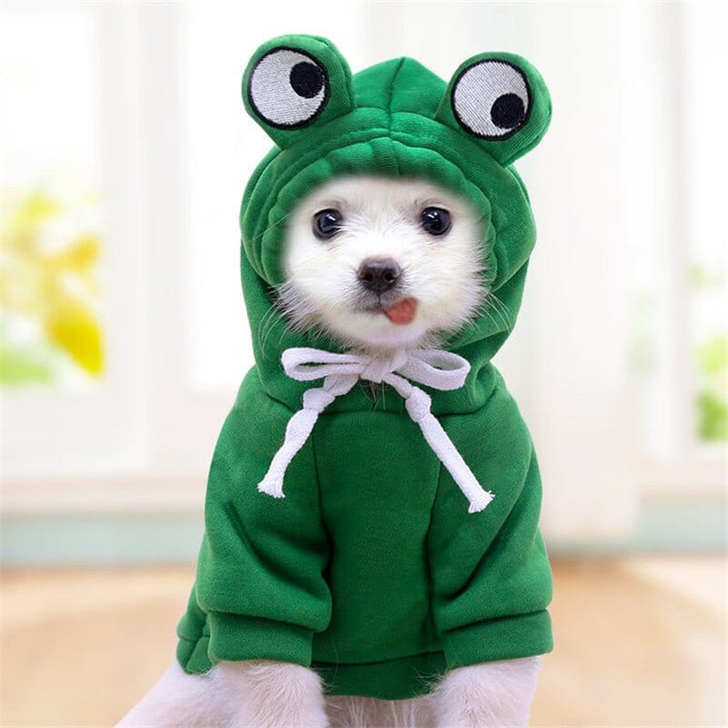 Moletom Pet Cuttie™ | Roupa Para Cachorro ROUPA_INV_4 Loja Sapinho Confu PP 